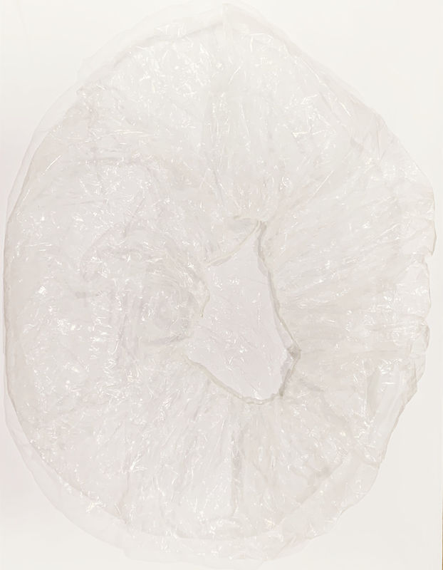 Transparent Disposable PE Cover Single Use Elasticated Plastic Cover